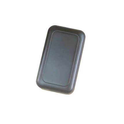 GPS Mini