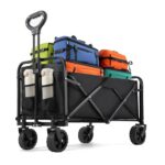 Carrito Plegable Portátil 220lbs