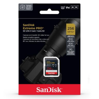 Memoria SD SanDisk Extreme